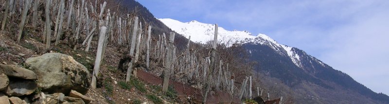 valezan.jpg