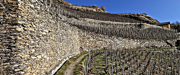 Murs de vignes