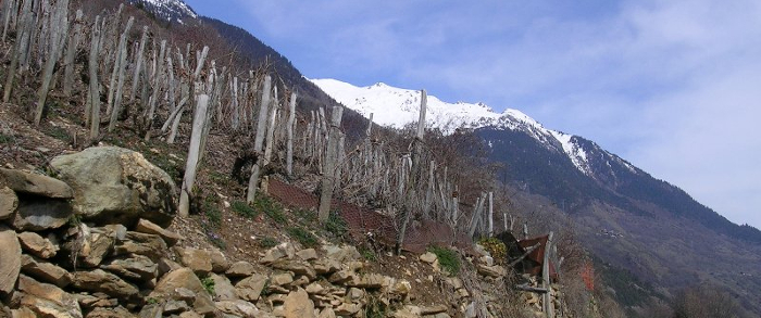 Les murs en pierres sèches