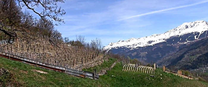 vendanges 2016