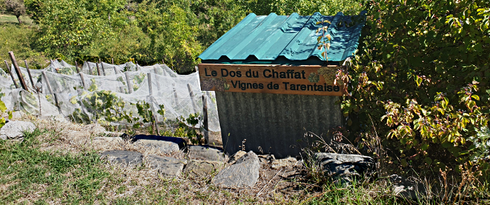 Chemin des vignes La Cote d'Aime